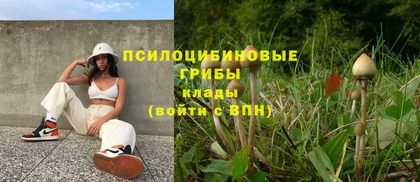 стаф Семилуки