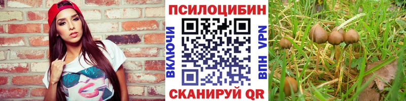 ссылка на мегу ССЫЛКА  Свободный  Галлюциногенные грибы ЛСД 
